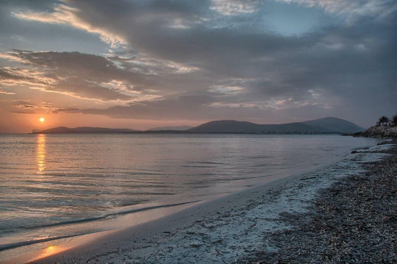 Zona Residenziale, Appartamento Incantevole Vista Mare Via Antonio Gramsci, 18, 07041 Alghero Ss Exteriör bild